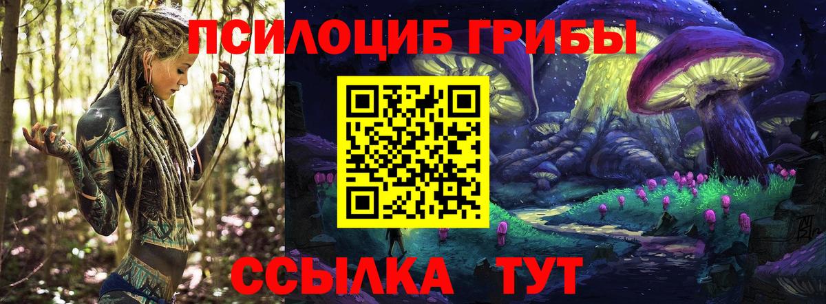 Кемерово  Псилоцибиновые грибы Psilocybe  продажа наркотиков  Вход с VPN 